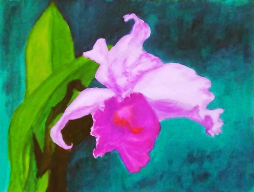 48560466122_b1abba3402_o