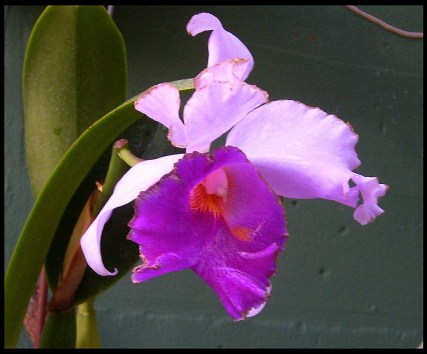 8219558690_f7bd9977ed_o